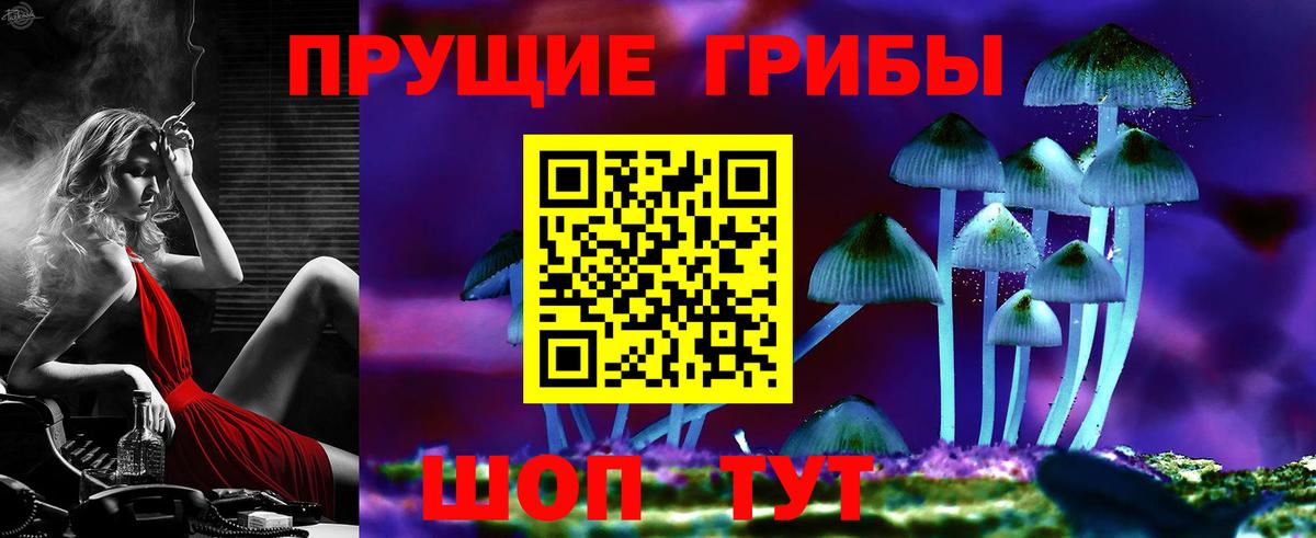 Псилоцибиновые грибы Psilocybine cubensis Домодедово